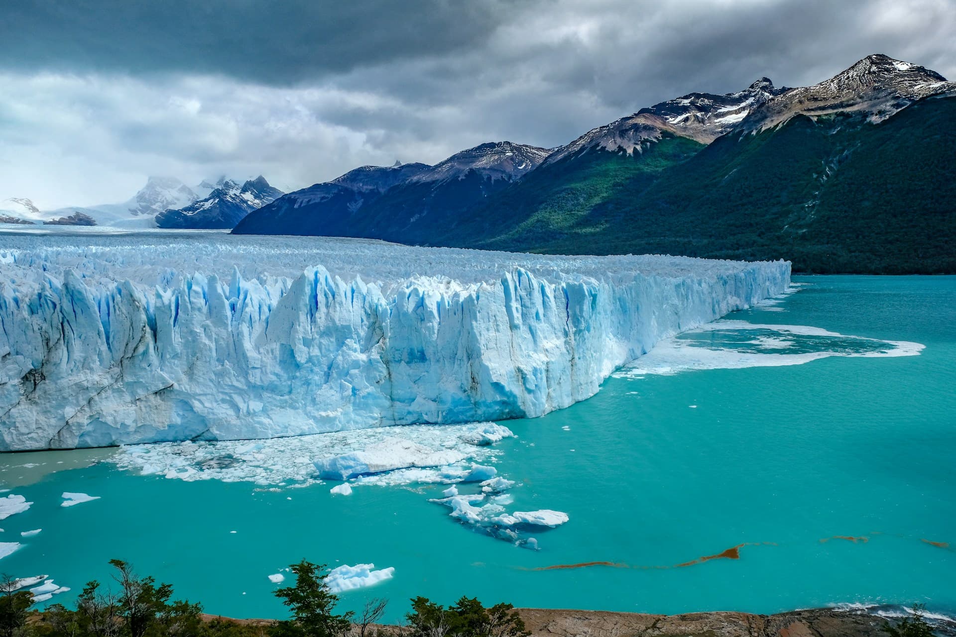 Argentine