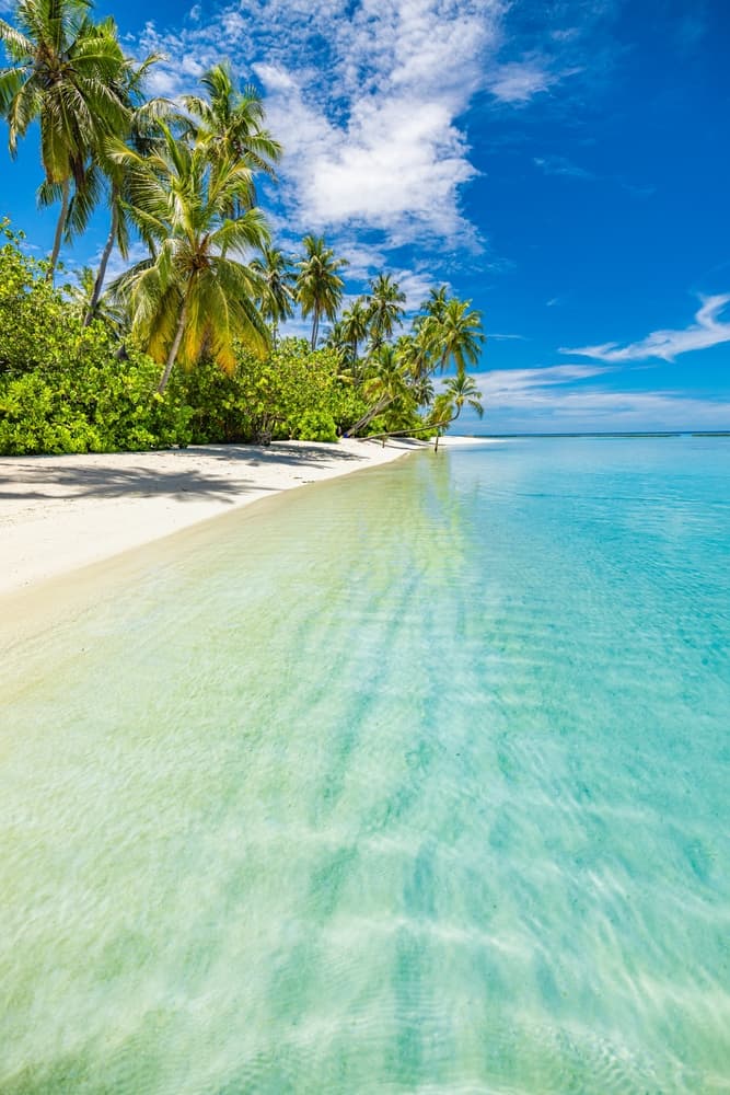 Plage & Îles