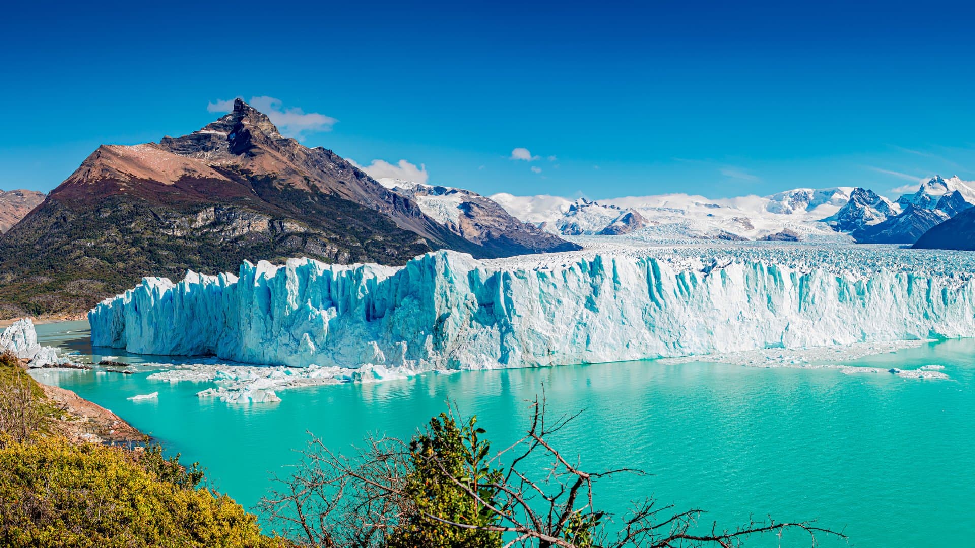 Argentine